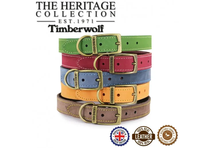 Ancol - Timberwolf Leather Collar - Green - Size 8 (55-63cm)