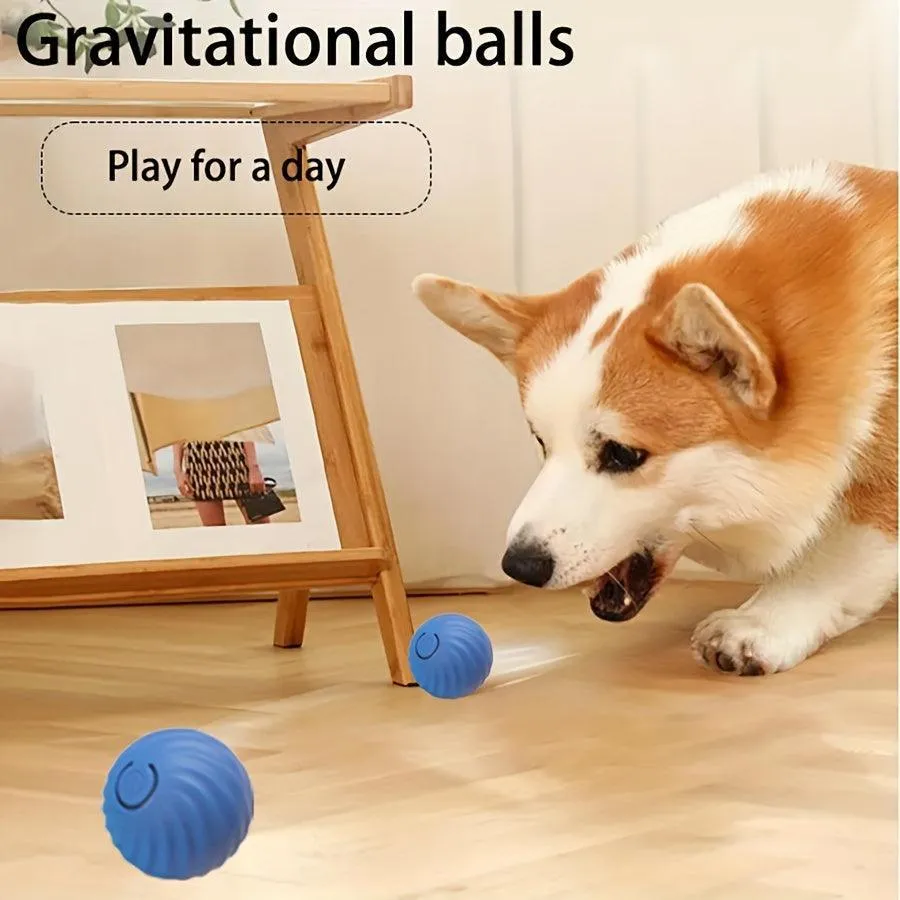 Automatic Rolling Ball Dog Toy