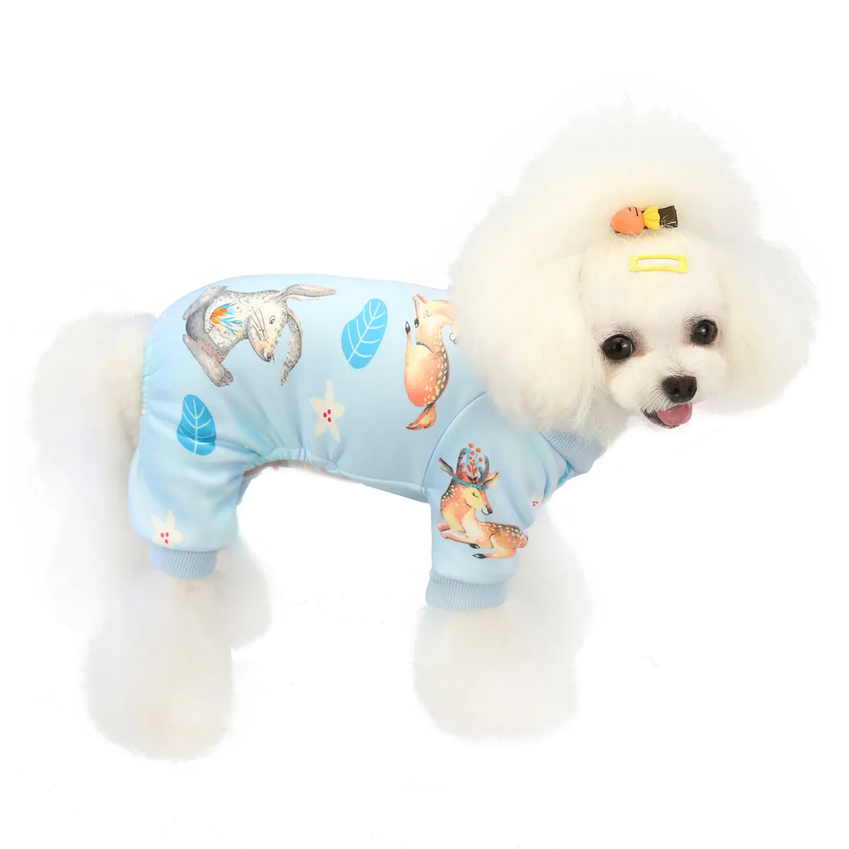 Autumn and winter dog clothes cute home clothes pet clothes