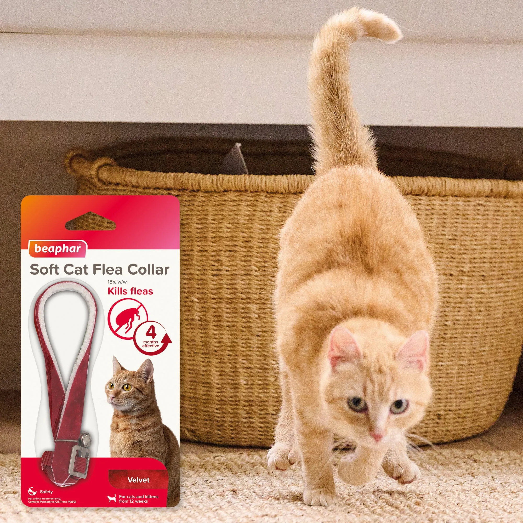 Beaphar | Cat Flea Control | Adjustable Velvet Safety Collar