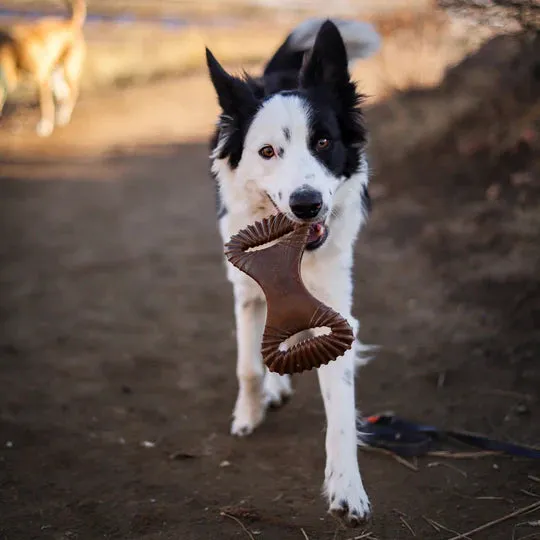 Benebone Dental Chew Peanut Butter Flavor Dog Chew Toy