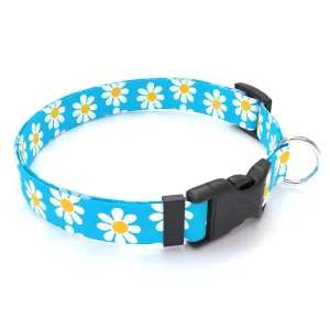 Blue Daisy Dog Collar