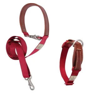 BUNDLE DEAL: Sputnik Nylon Dog Collar   Multifunctional Leash Set (Red)