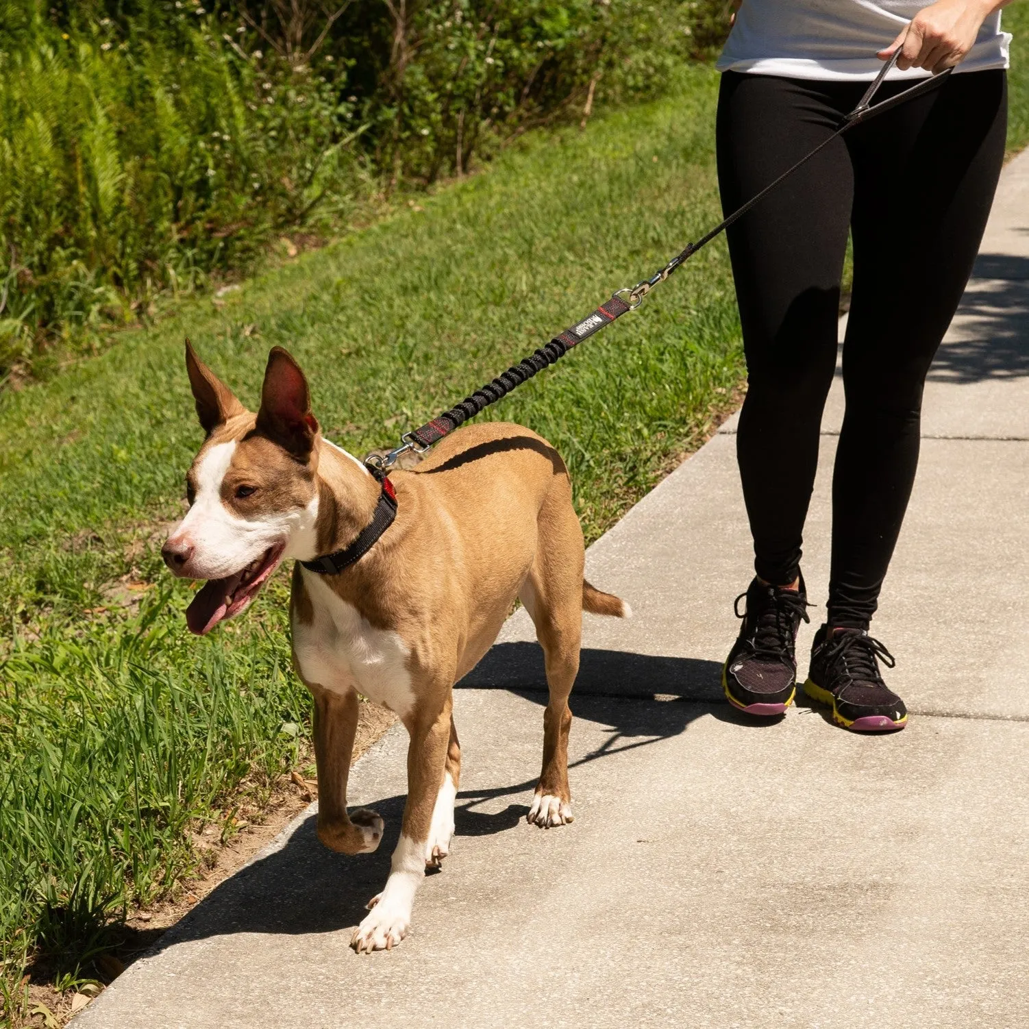 Bungee Leash Extension for Absorbing Shock - 18 Inches