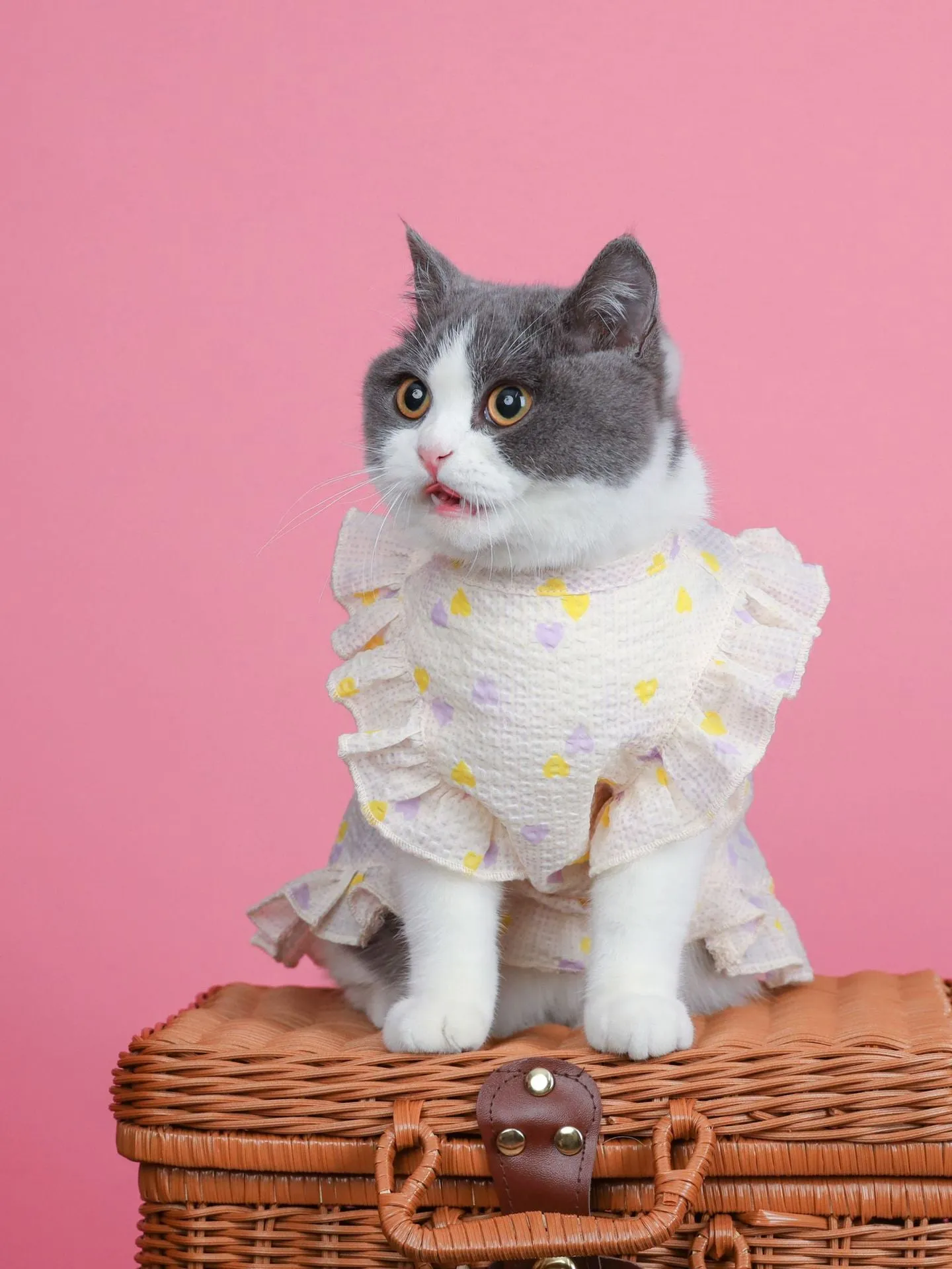 Cat Clothes Summer Light, Thin and Cute Breathable Dress Pet Clothing