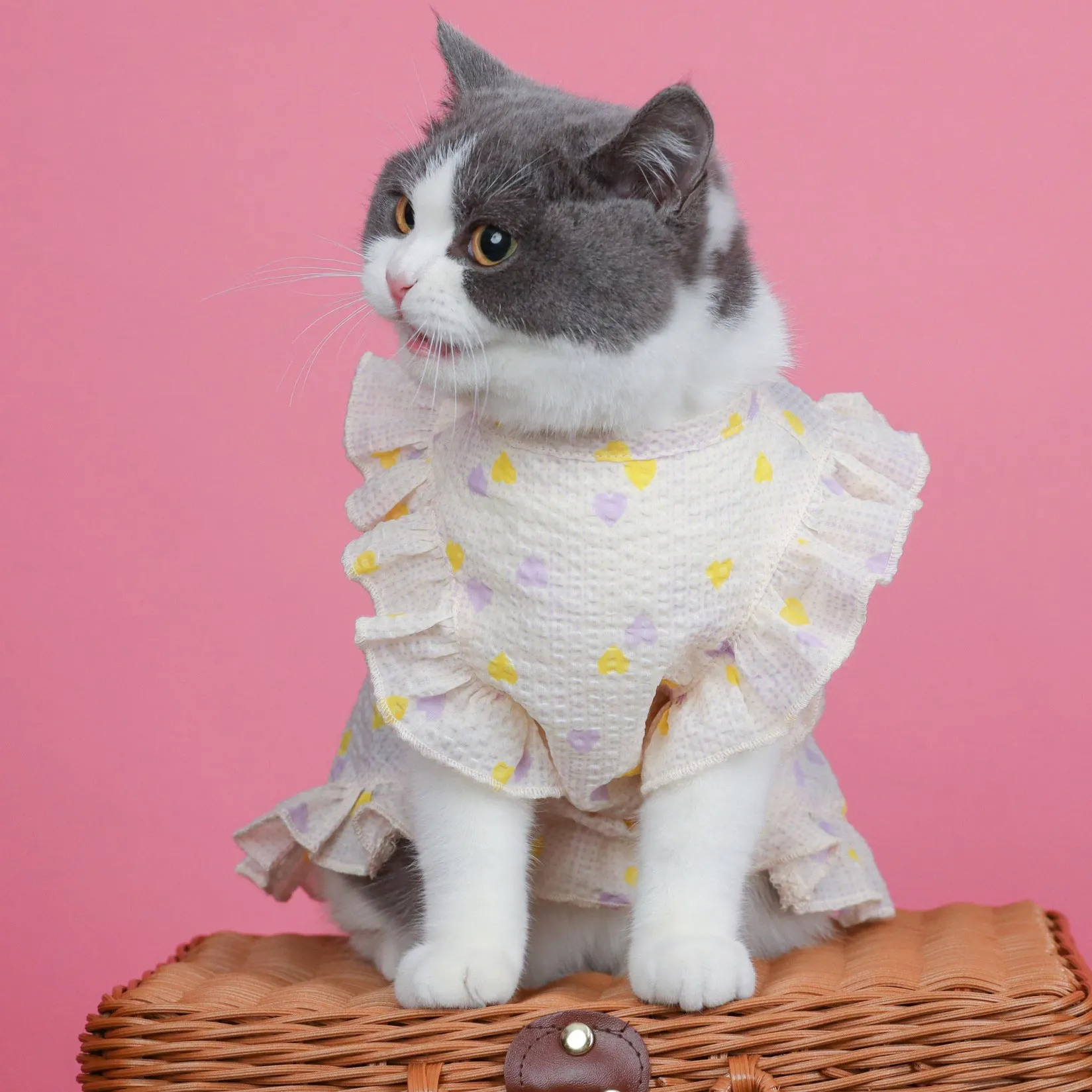 Cat Clothes Summer Light, Thin and Cute Breathable Dress Pet Clothing