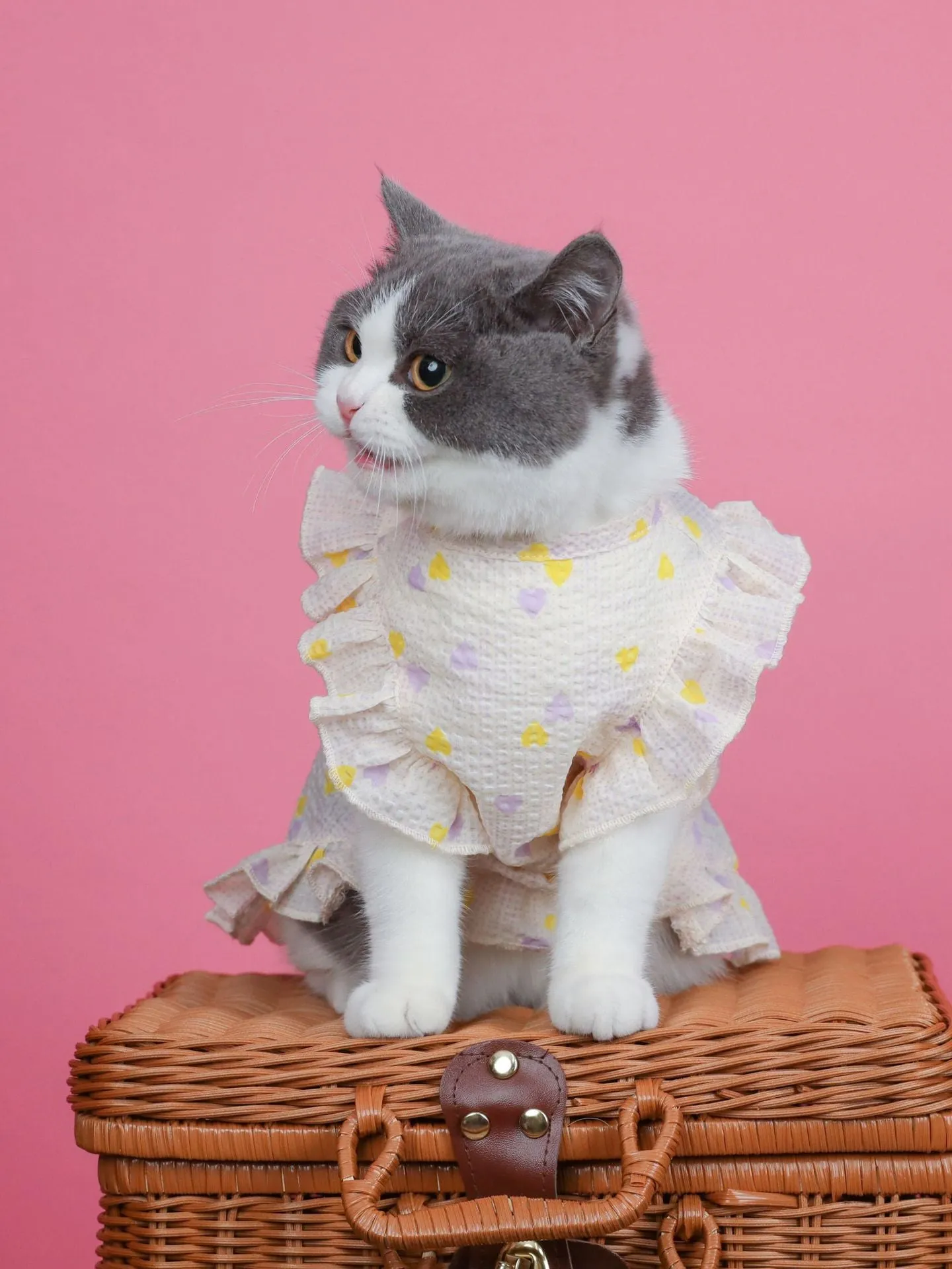 Cat Clothes Summer Light, Thin and Cute Breathable Dress Pet Clothing