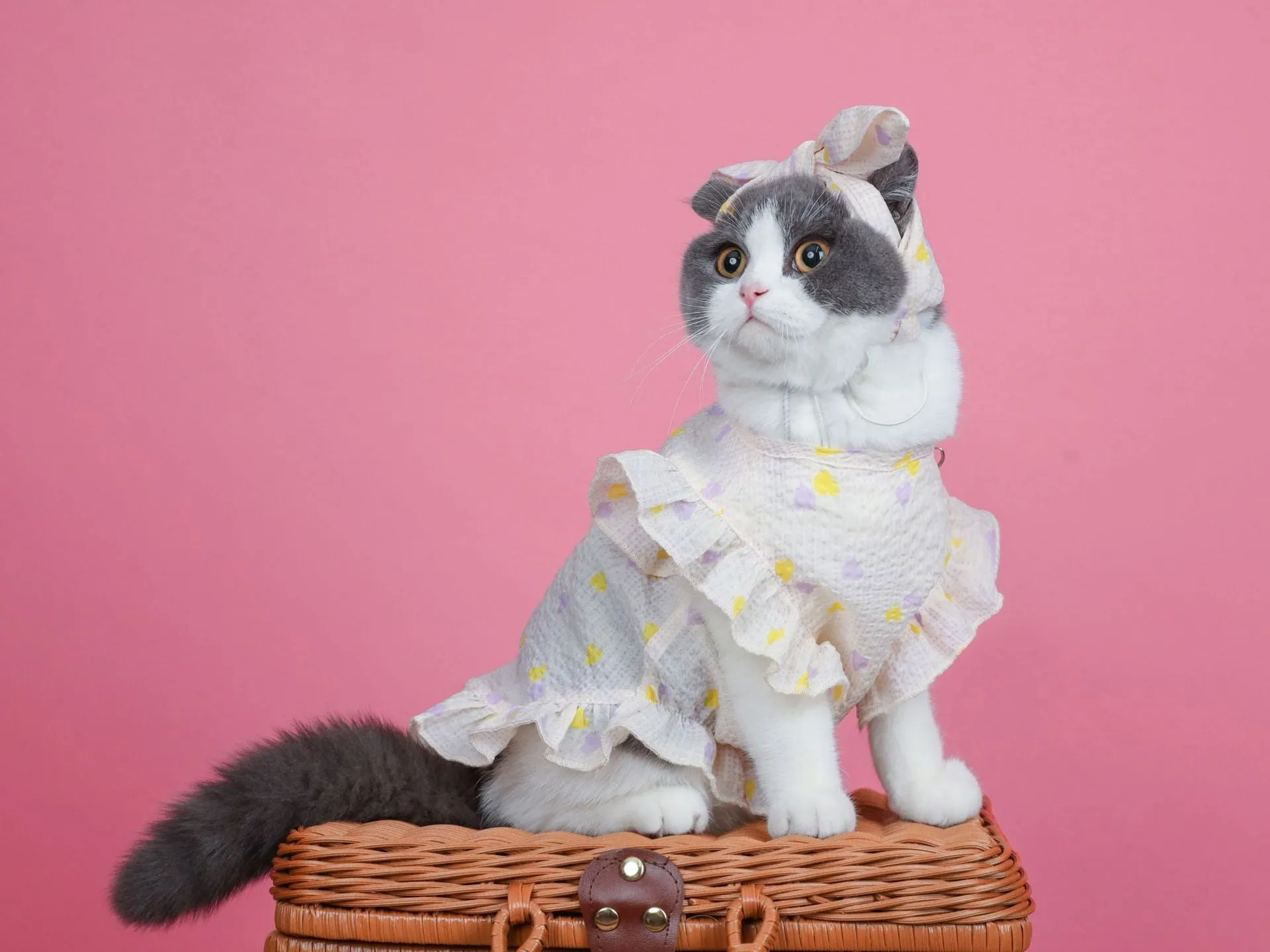 Cat Clothes Summer Light, Thin and Cute Breathable Dress Pet Clothing