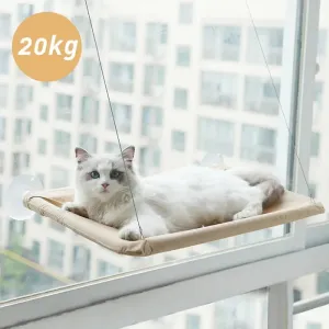 Cat Hammock