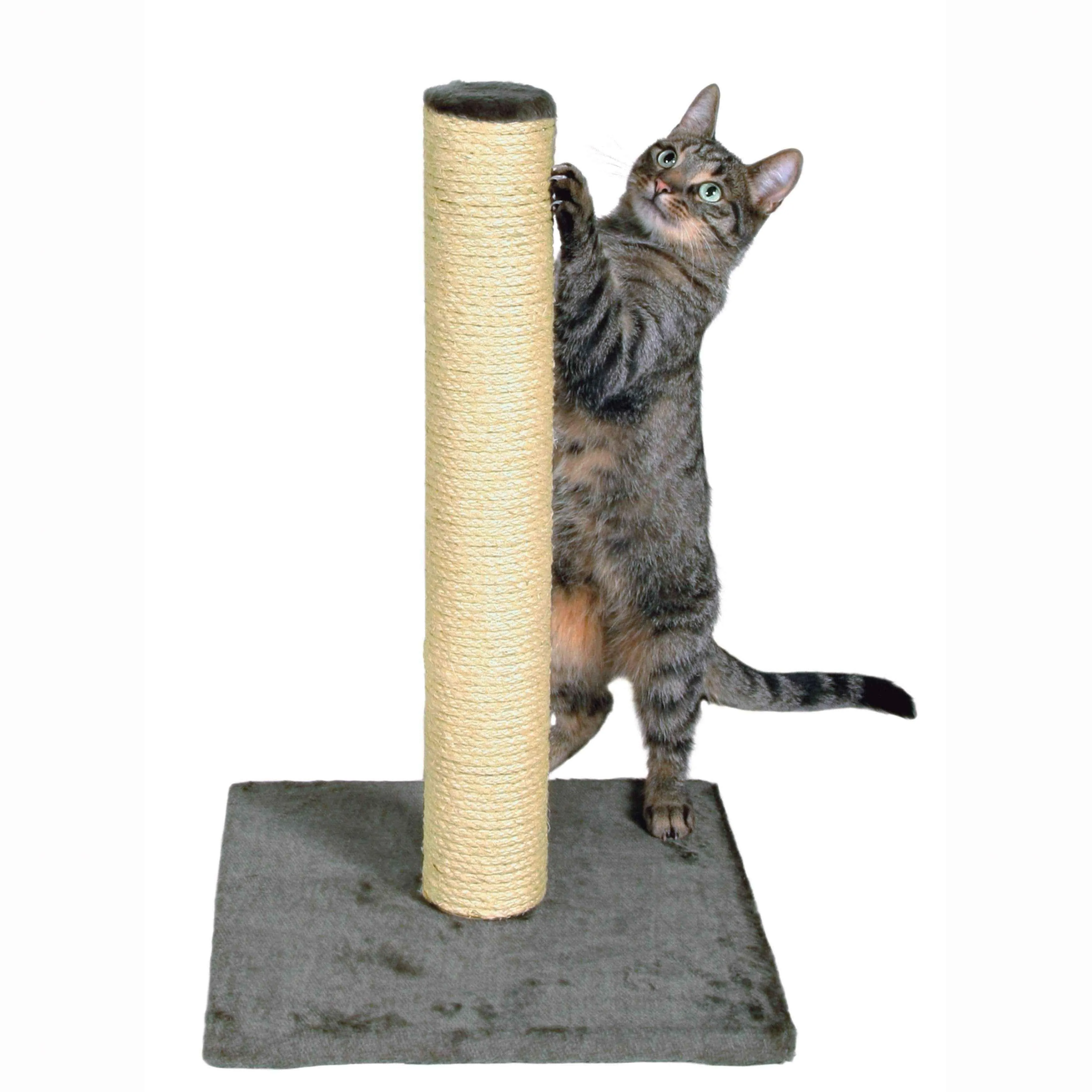 Cat scratching post