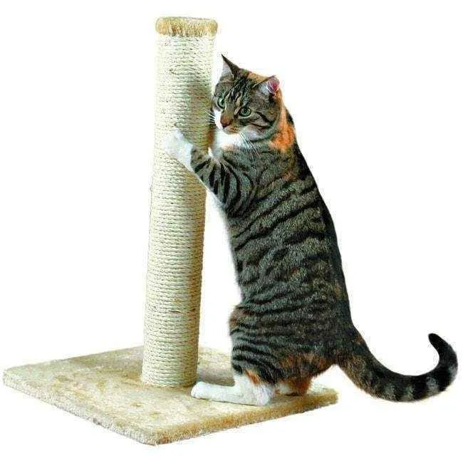 Cat scratching post