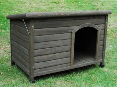 Cheeko | Dog Kennel | Wooden Flatroof Cabin