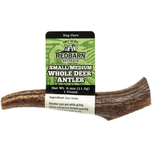 Deer Antler