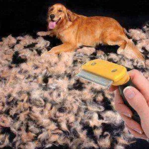 Dog shedding brush