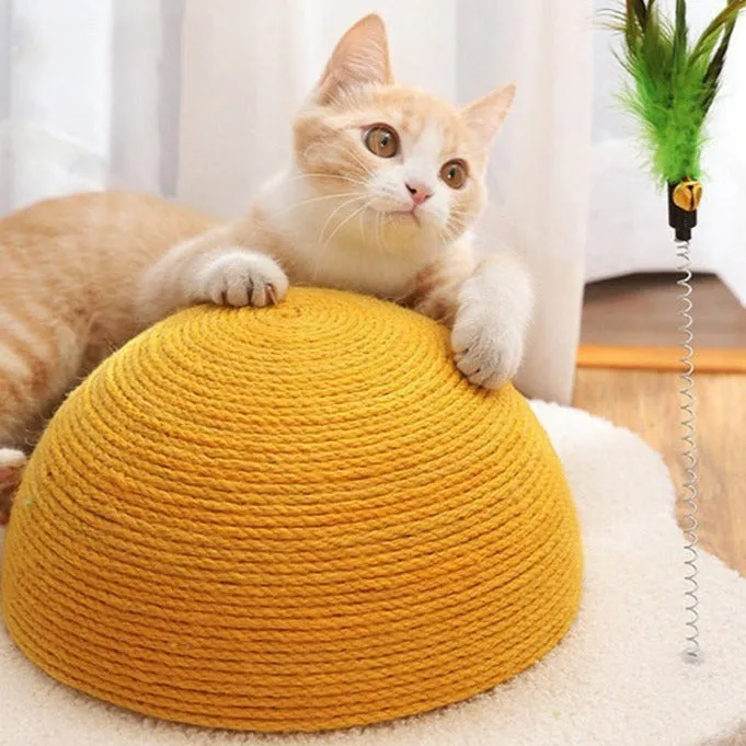 Egg Carrot Cat Scratching Board