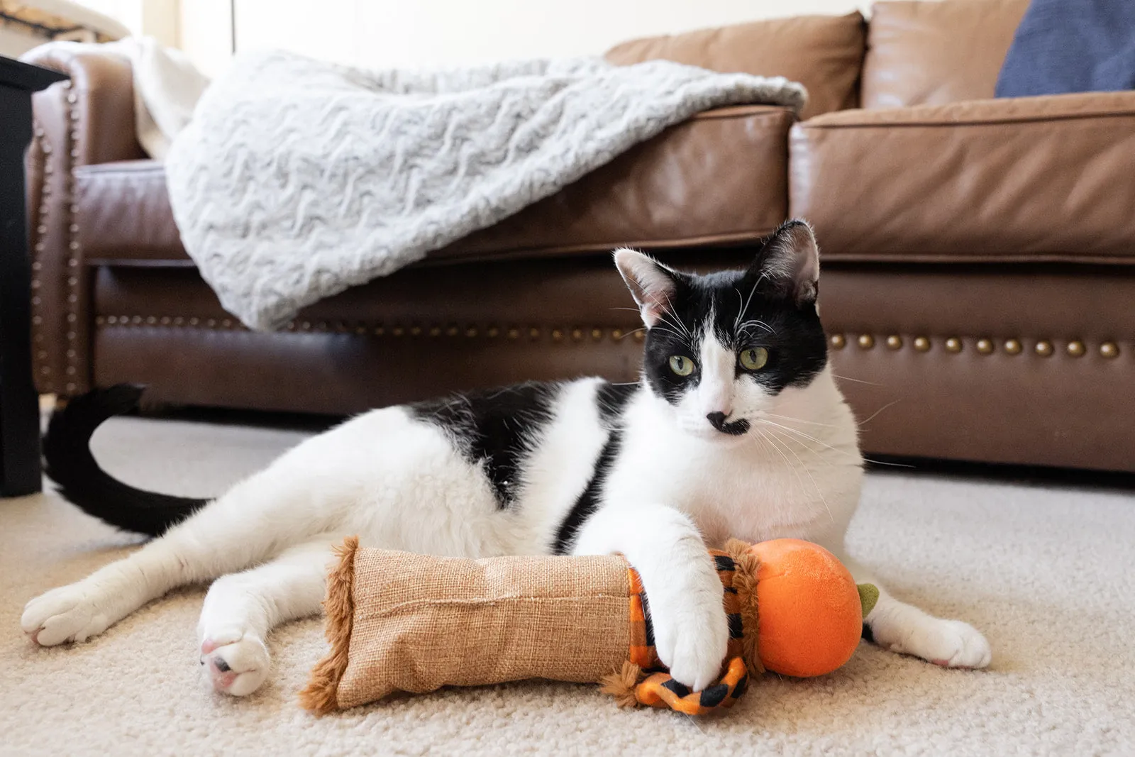 Feline Frenzy Scaredy Crow Kicker Toy