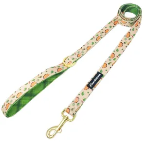 Frenchiestore Dog Luxury Leash | Taco bout it