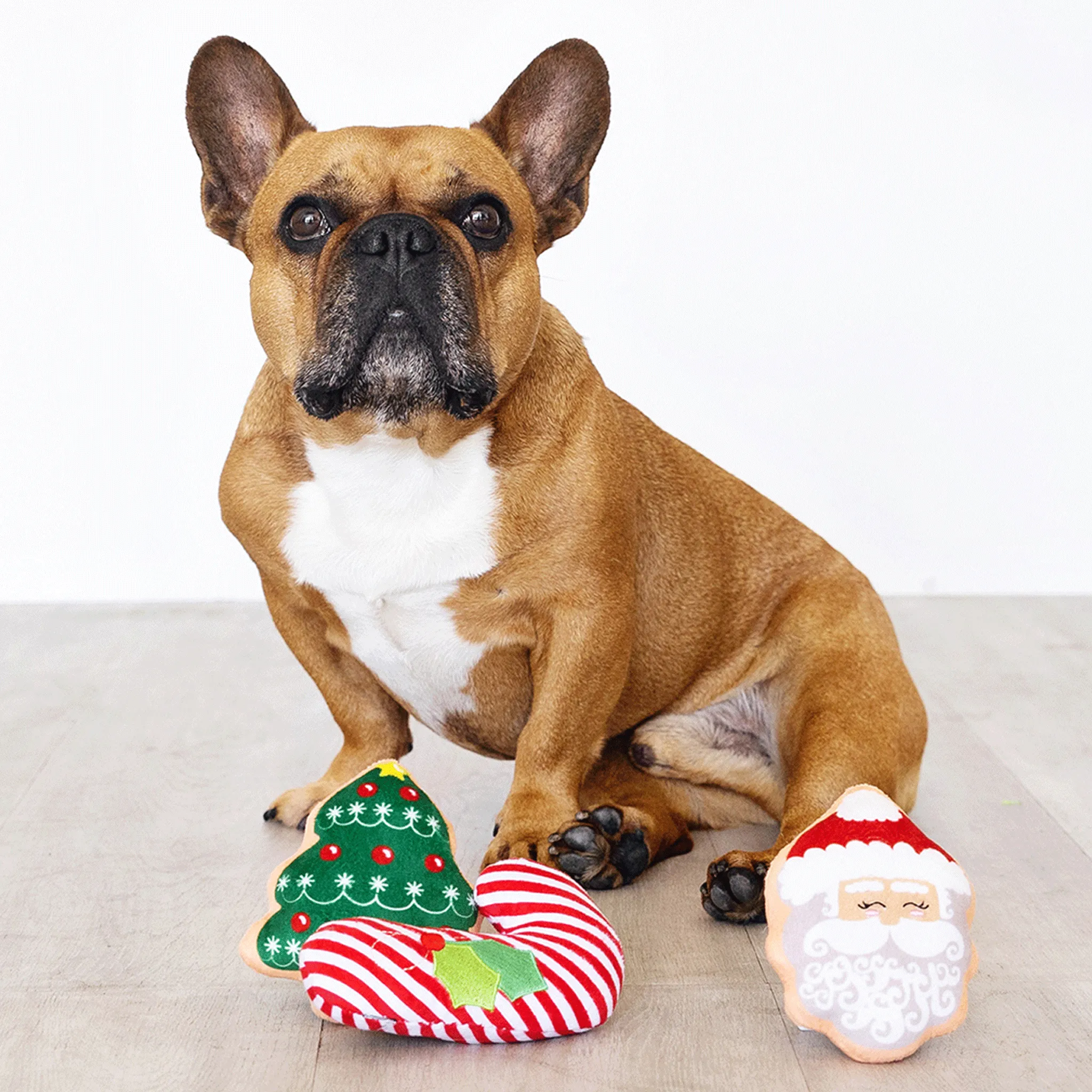 Fringe Dear Santa Dog Toys