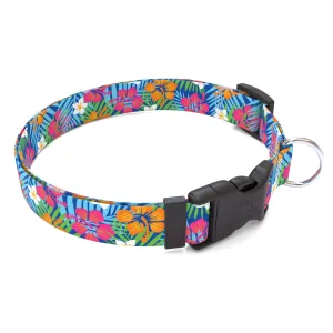 Hibiscus Paradise Dog Collar