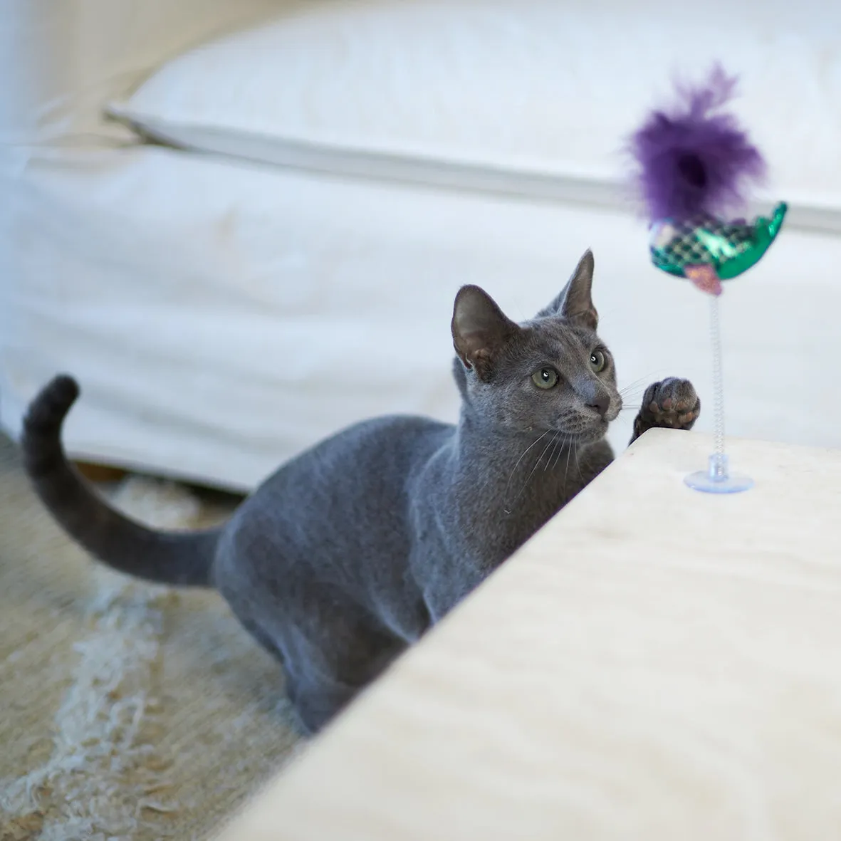 Kazoo Bouncy Fish Cat Toy