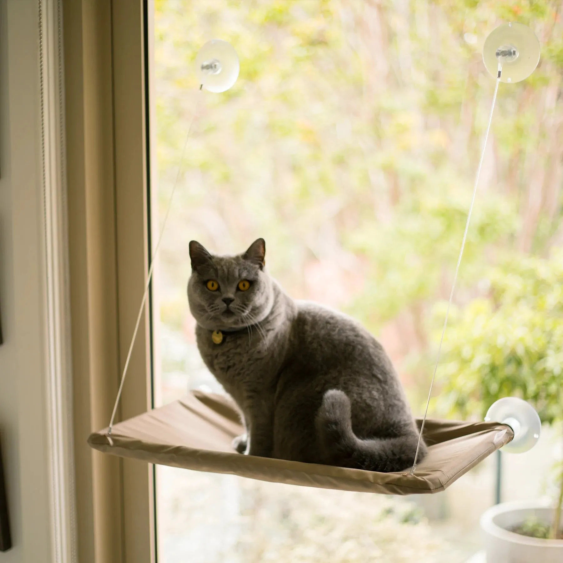 Kazoo Lookout Window Cat Bed