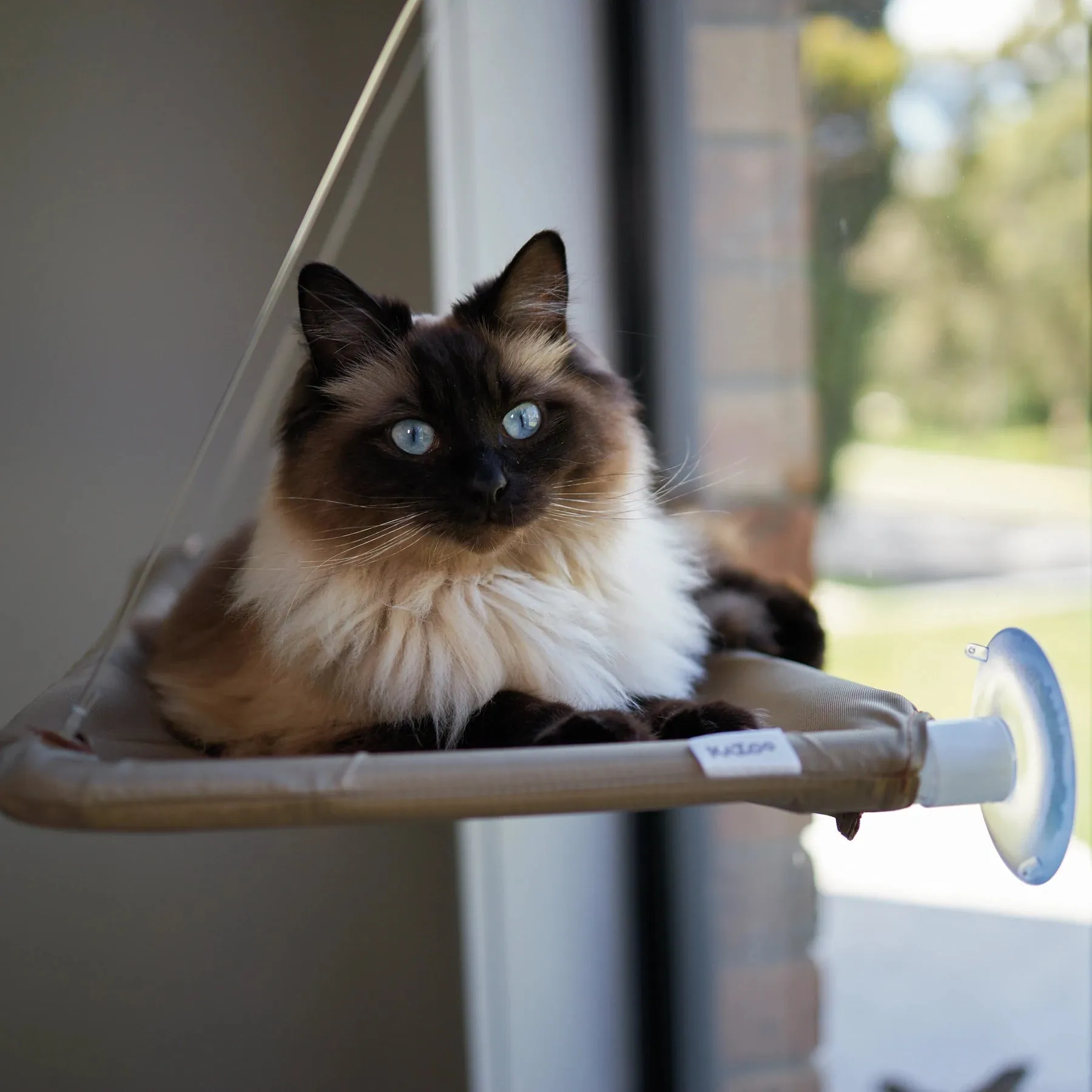 Kazoo Lookout Window Cat Bed