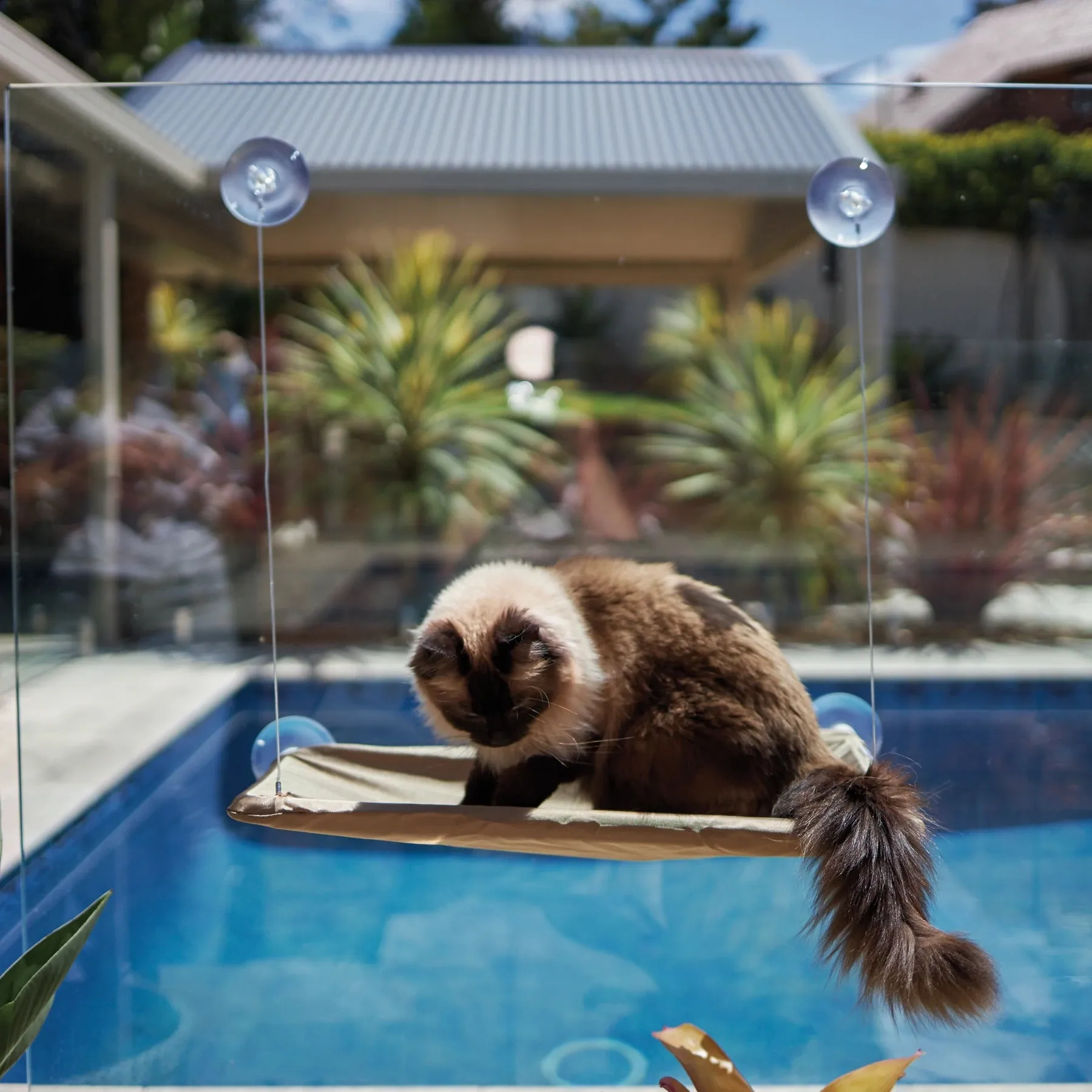 Kazoo Lookout Window Cat Bed