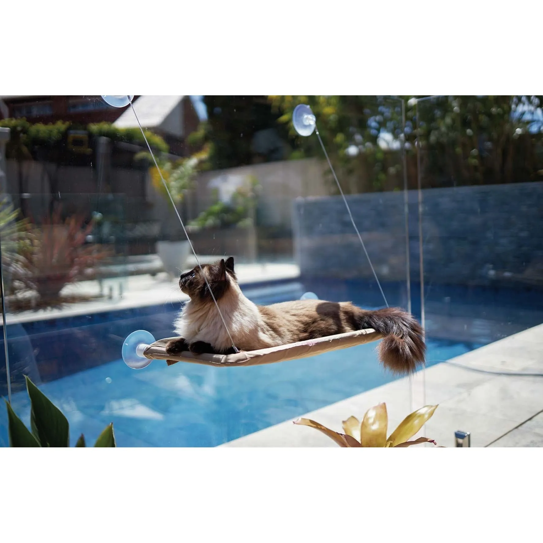 Kazoo Lookout Window Cat Bed