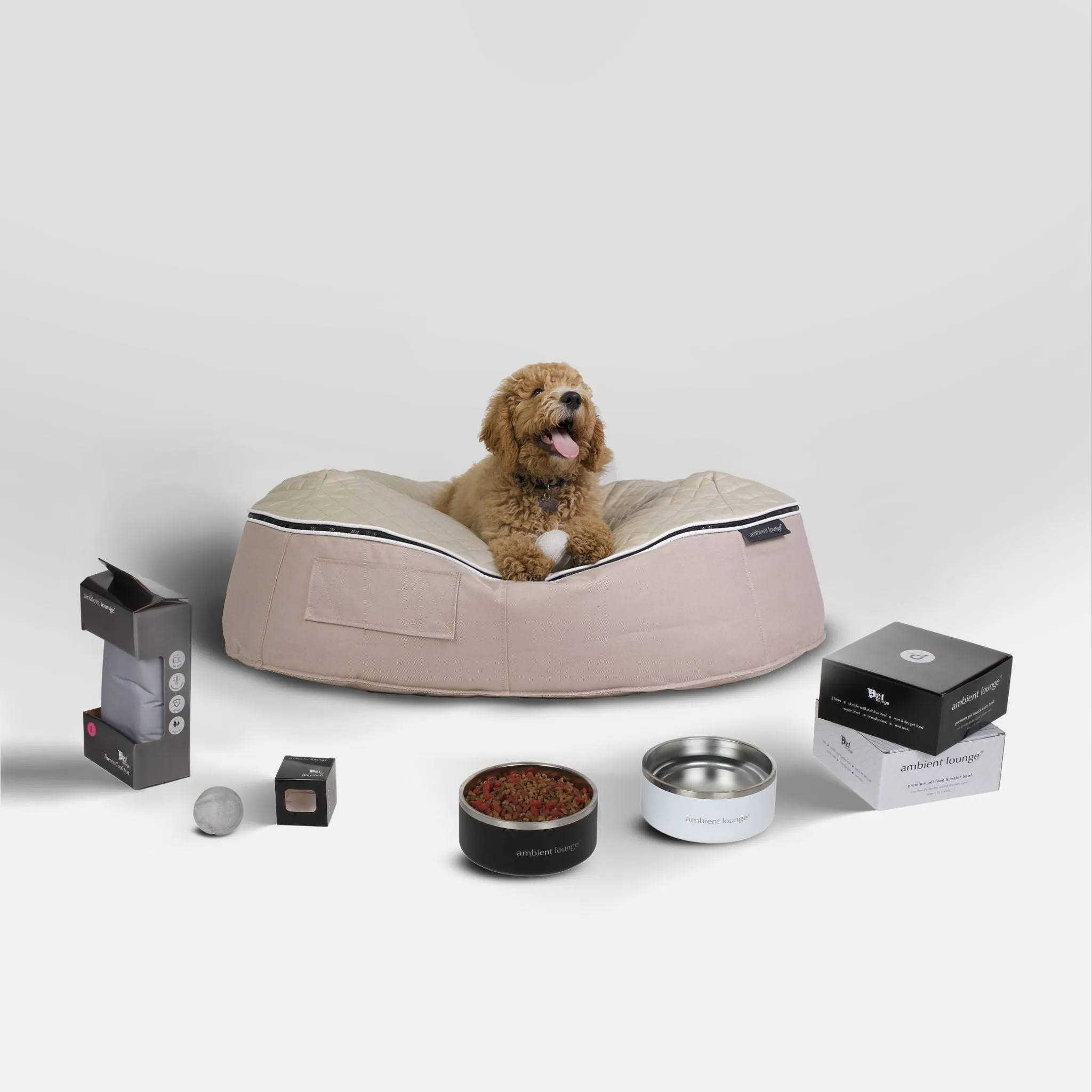 Large New Dog Luxury Essentials Pack