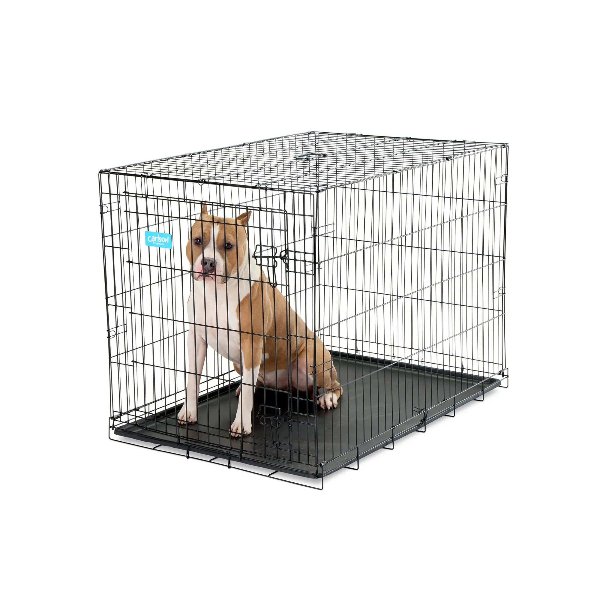 Large Single-Door Dog Crate