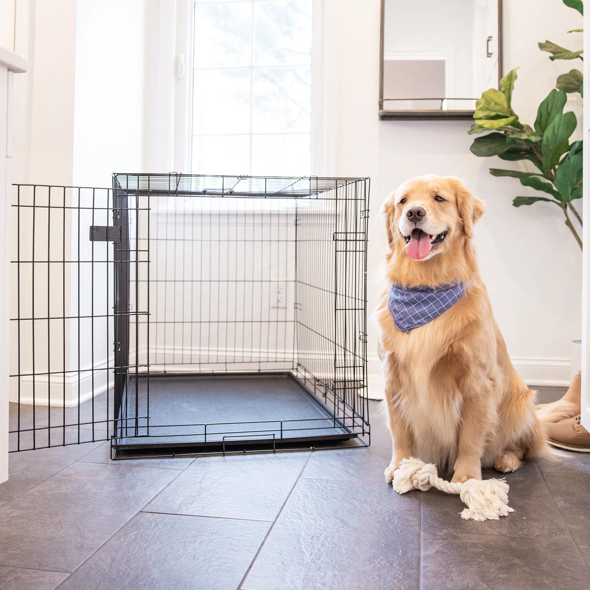 Large Single-Door Dog Crate