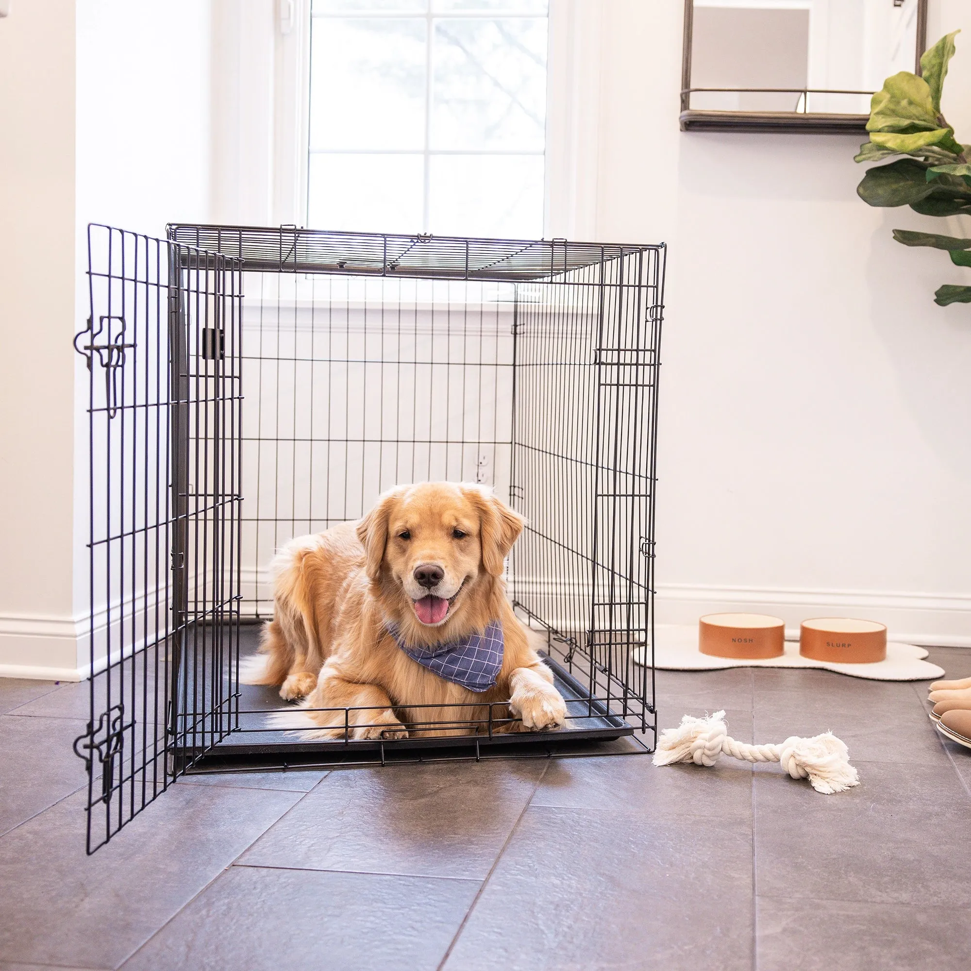 Large Single-Door Dog Crate