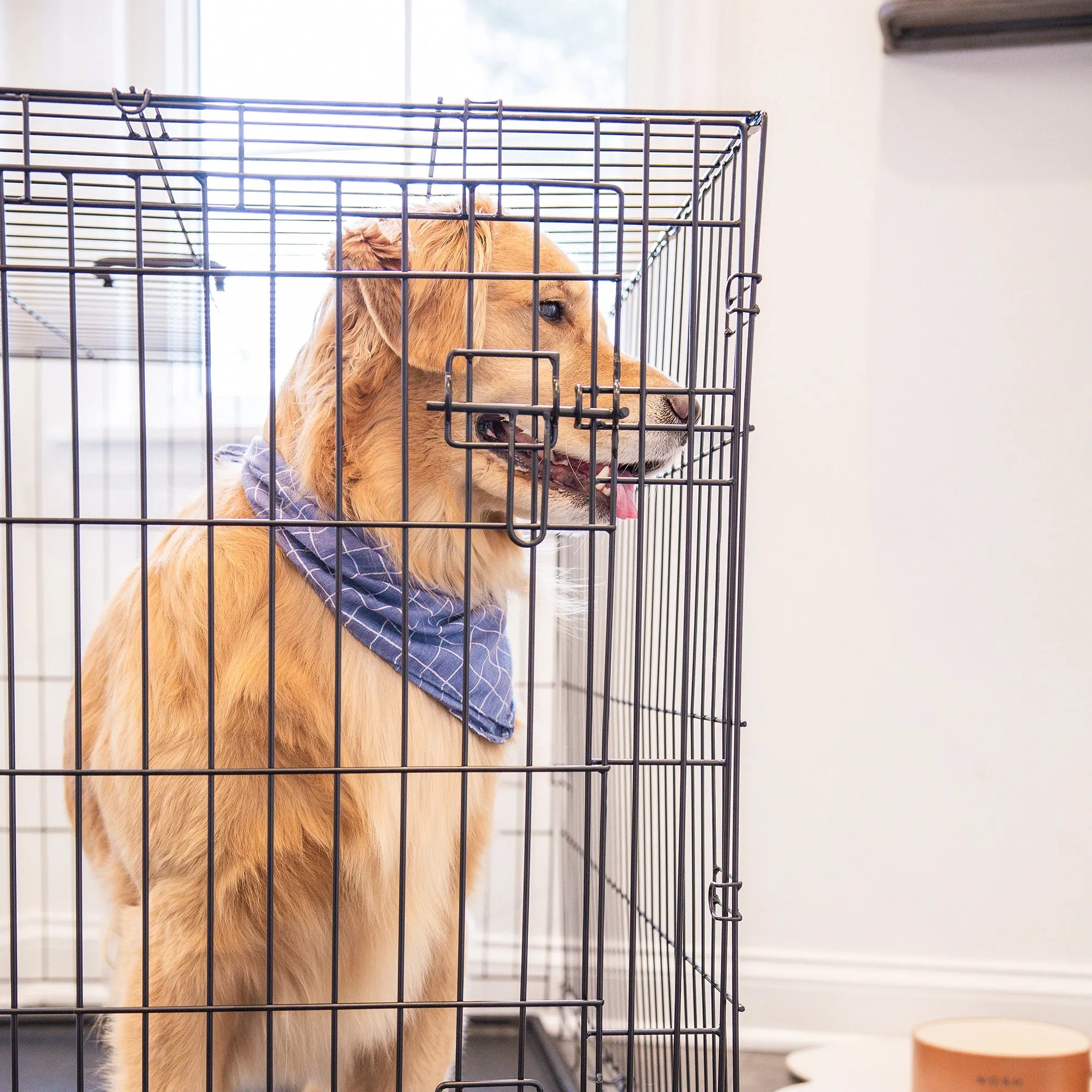 Large Single-Door Dog Crate