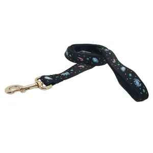 Midnight Navy Seafood Gumbo Dog Leash