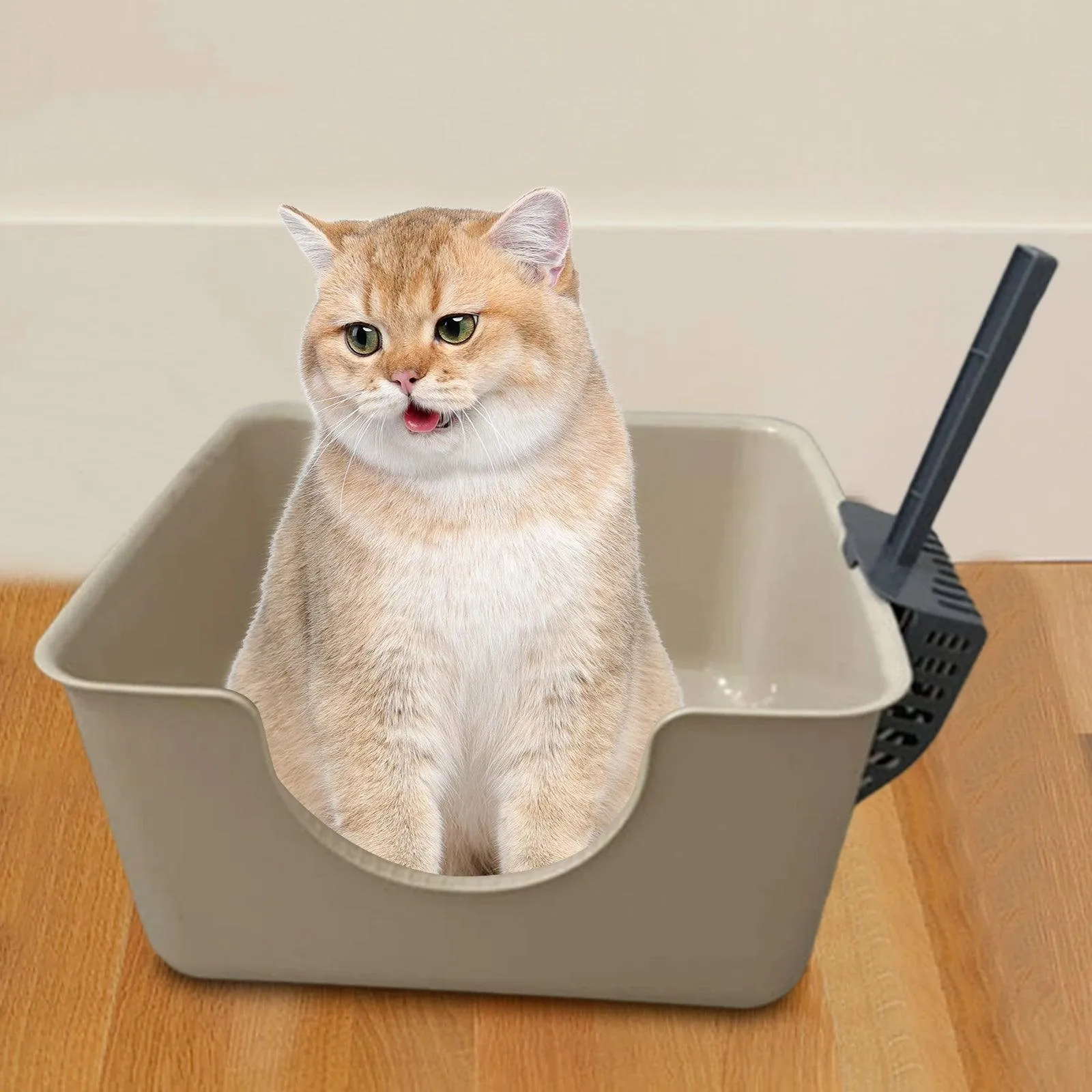 Open Top Anti-Splashing Pet Litter Tray Box