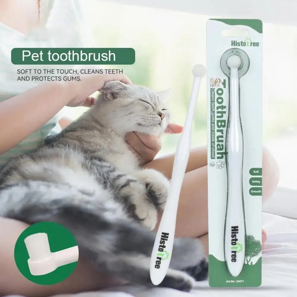 Orbital Pet Toothbrush