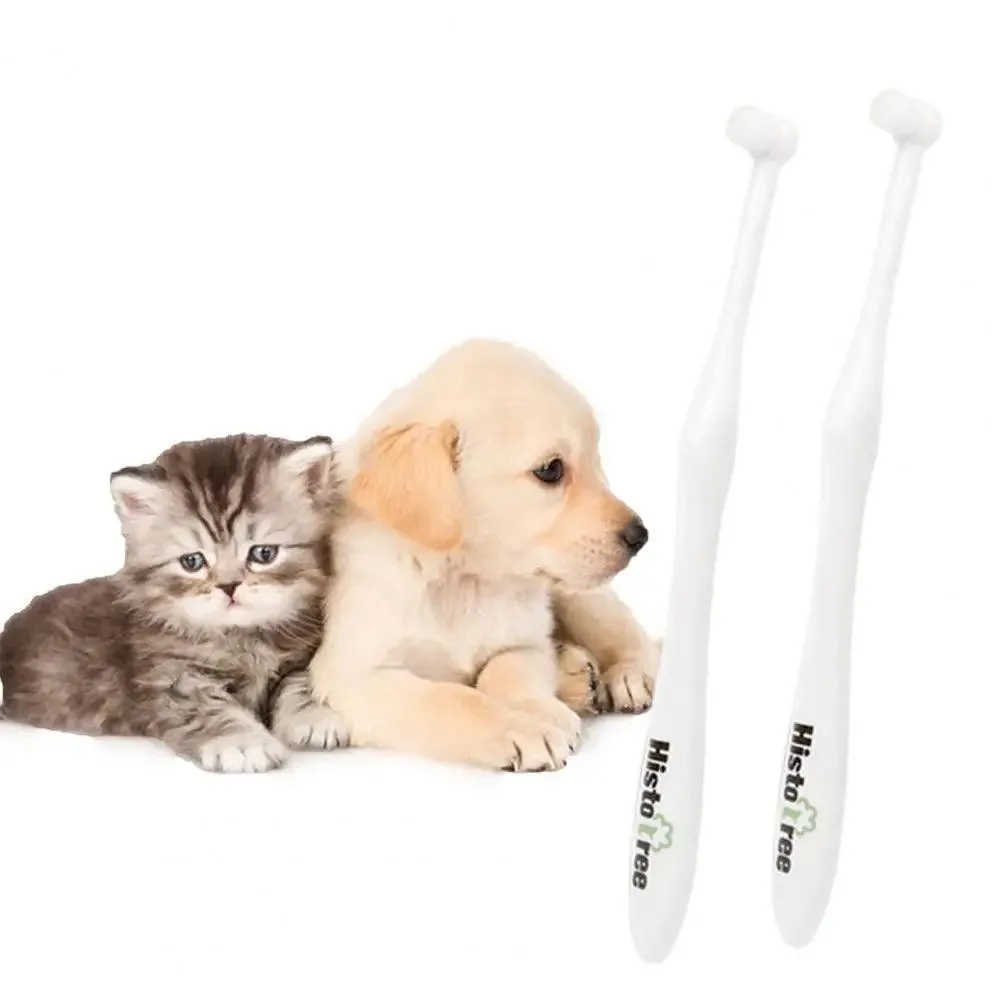 Orbital Pet Toothbrush