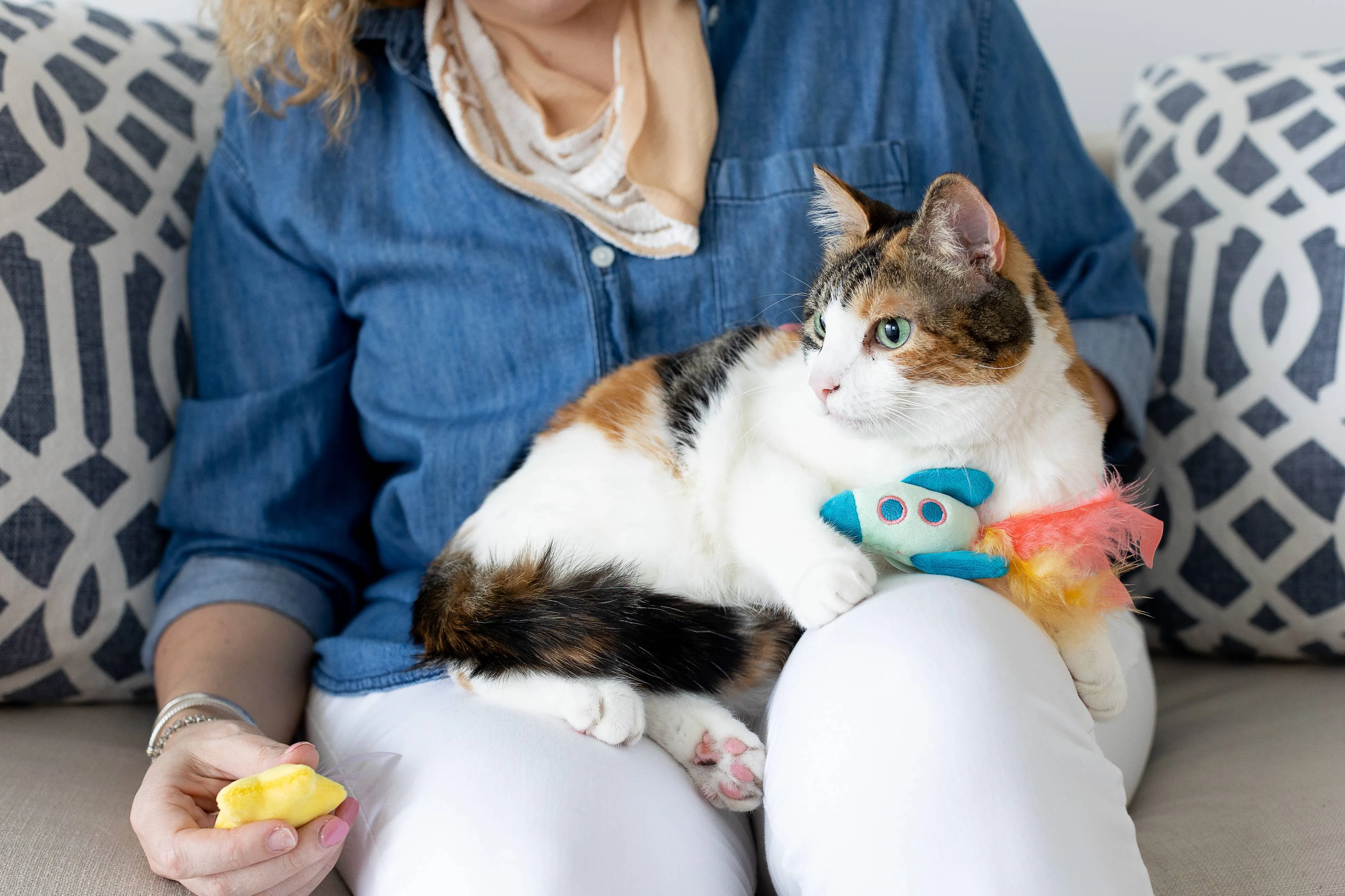 Outer Space Cat Toys Set