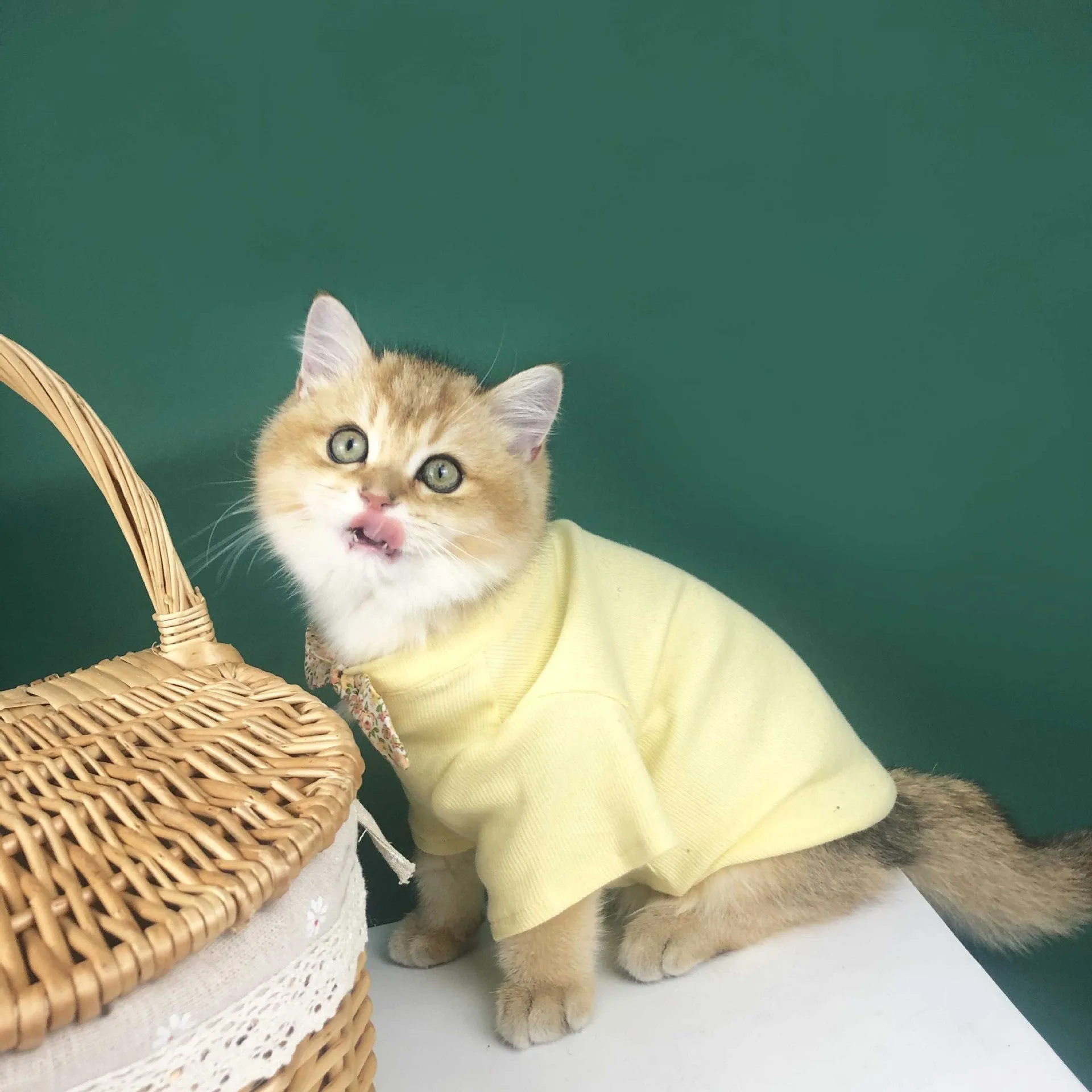 Pet Clothing Summer Thin Breathable Cat Clothes