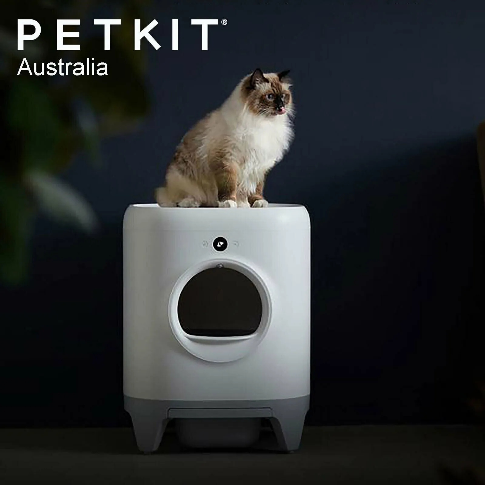 PETKIT PURA X Smart Automatic Self Clean Cleaning Cat Kitten Pet Litter Box Tray