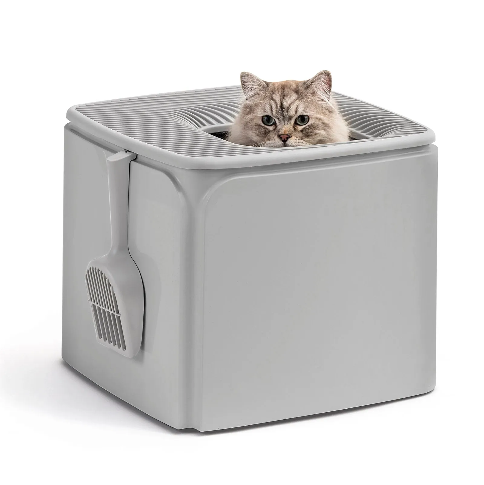 Premium Top Entry Cat Litter Box PRCL-SQ, White