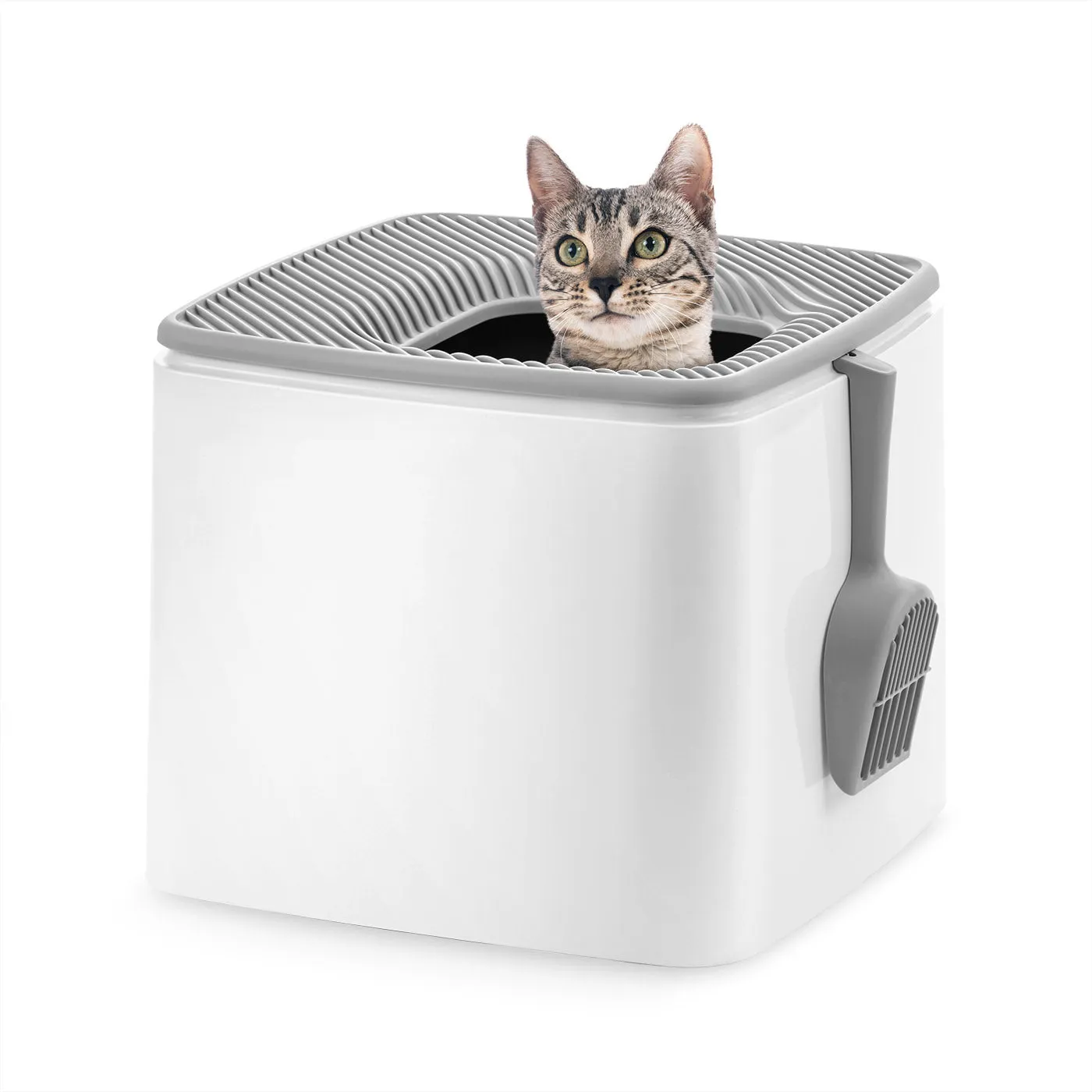 Premium Top Entry Cat Litter Box PRCL-SQ, White