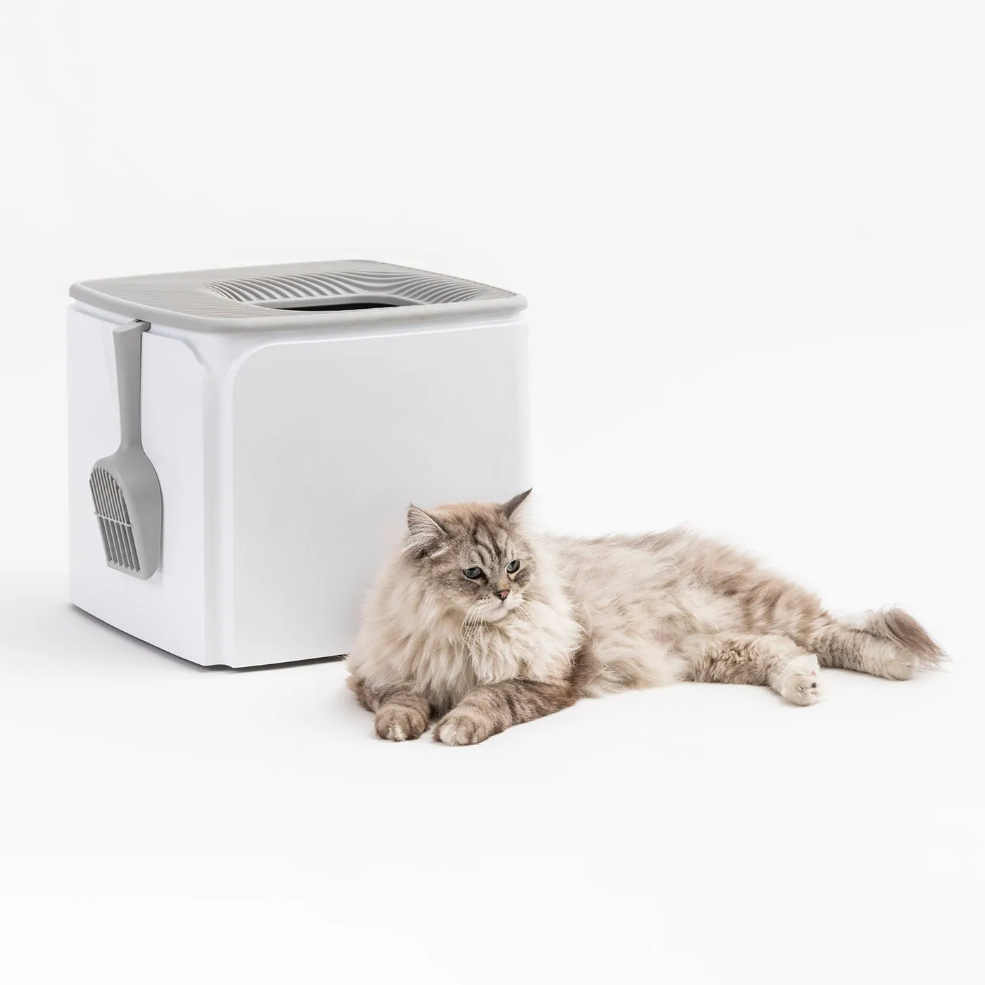 Premium Top Entry Cat Litter Box PRCL-SQ, White