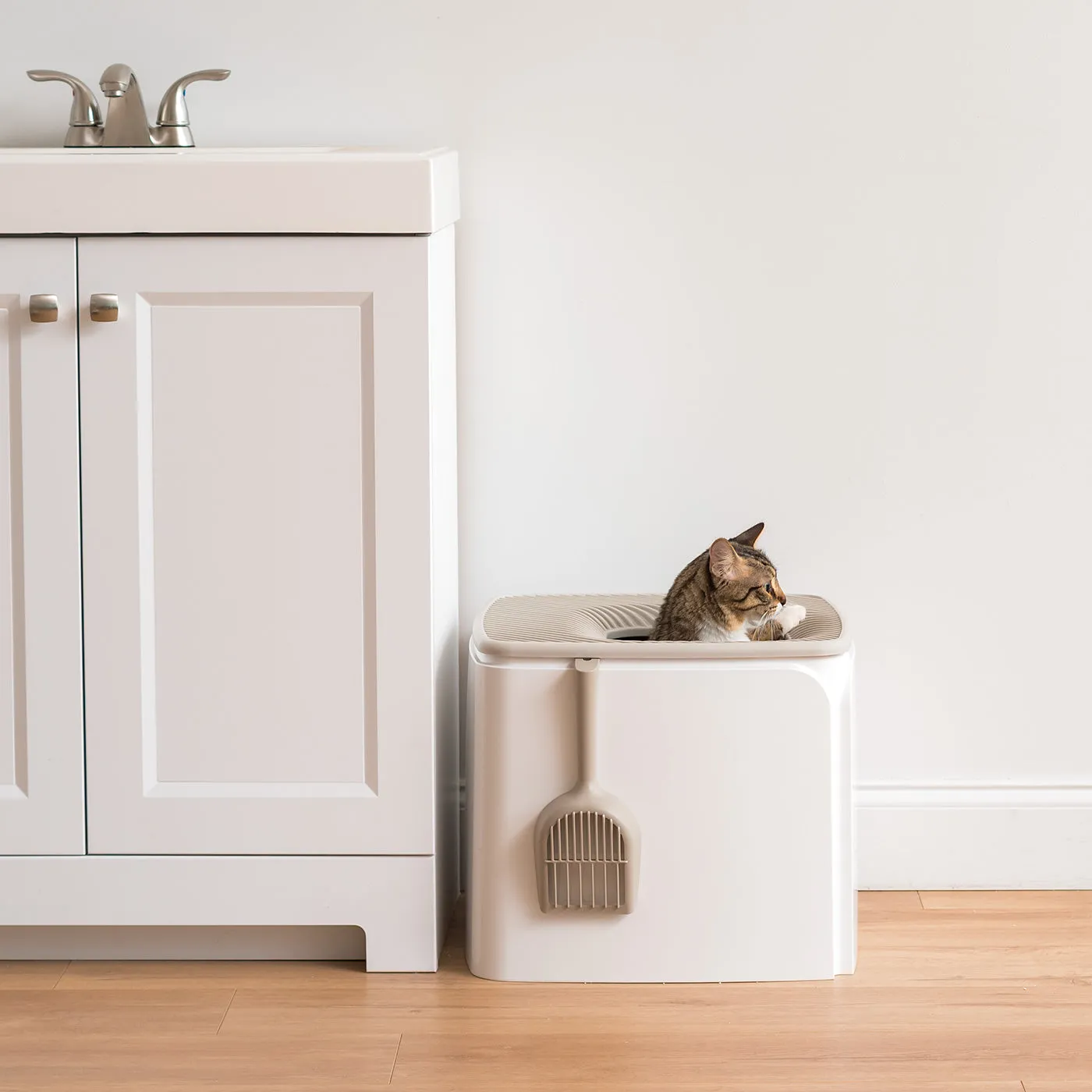 Premium Top Entry Cat Litter Box PRCL-SQ, White