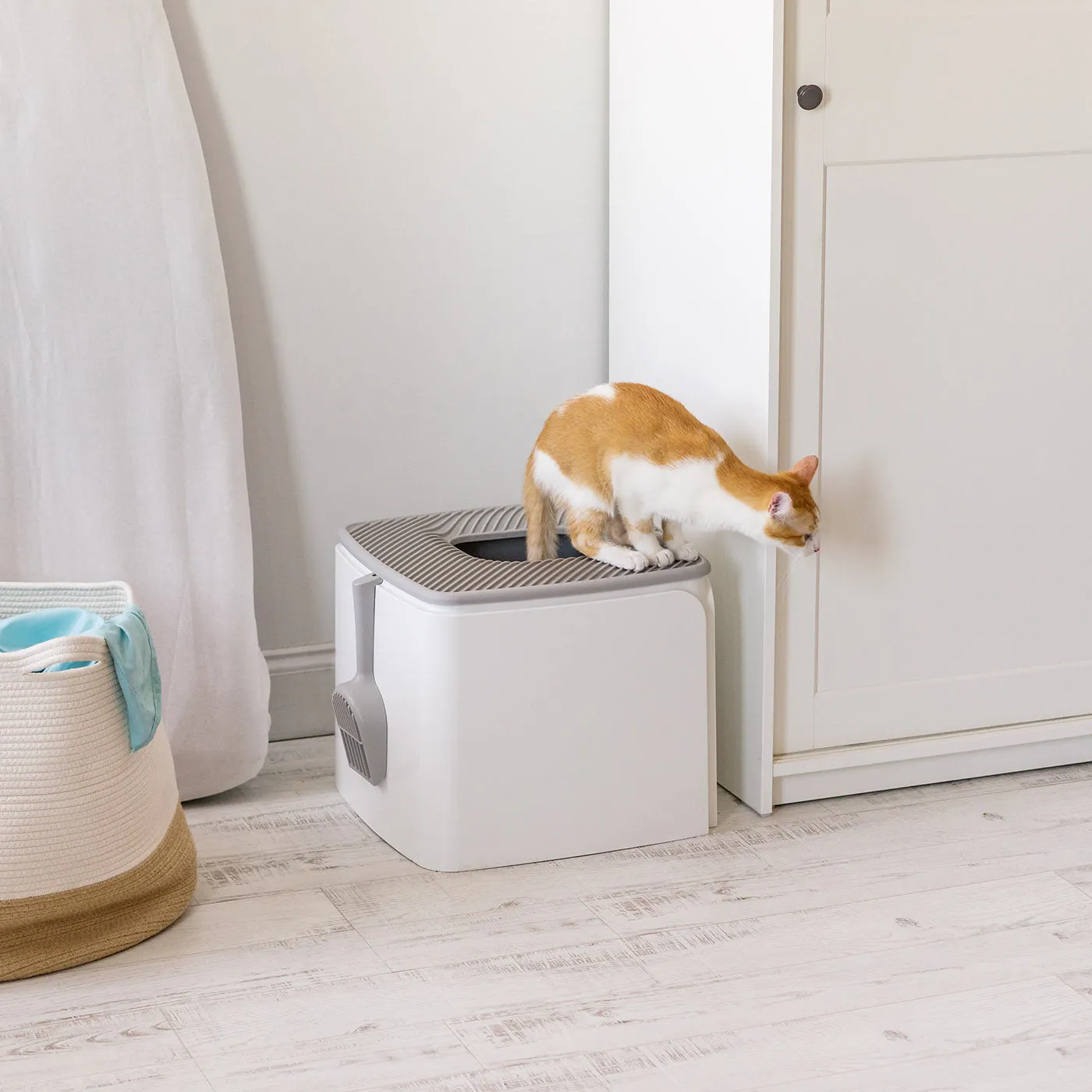 Premium Top Entry Cat Litter Box PRCL-SQ, White