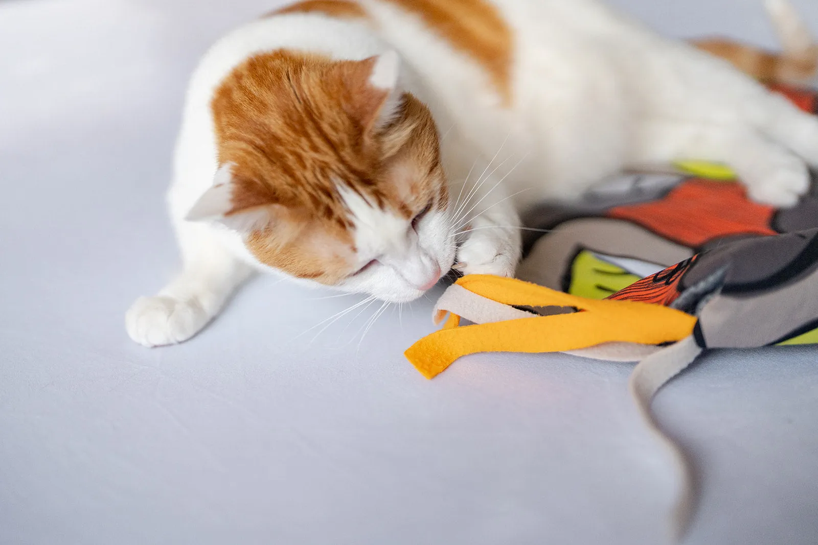 Purrfect Playtime Mat