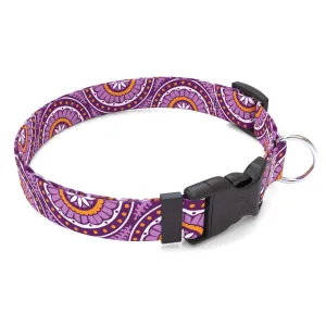 Radiance Purple Dog Collar