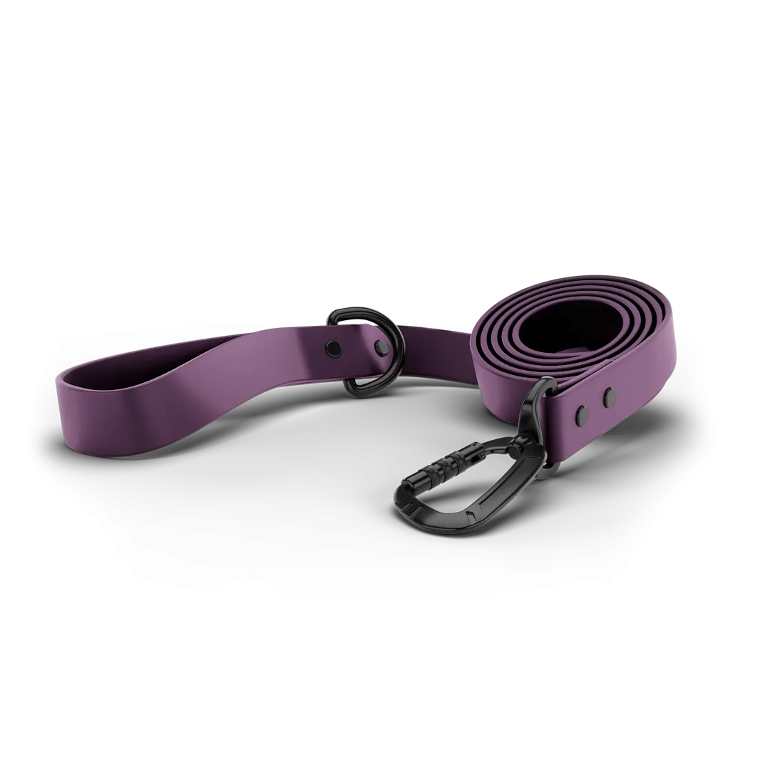 Sentiero Dog Leash 2.0 - Prairies Purple