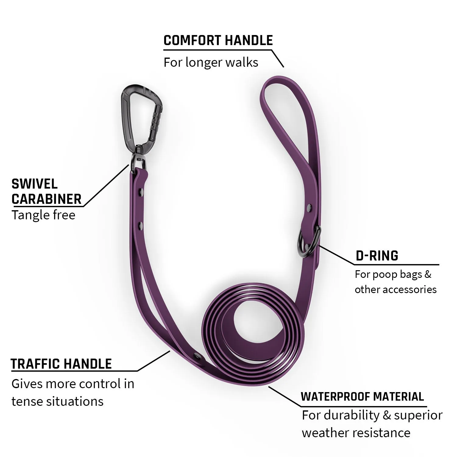 Sentiero Dog Leash 2.0 - Prairies Purple