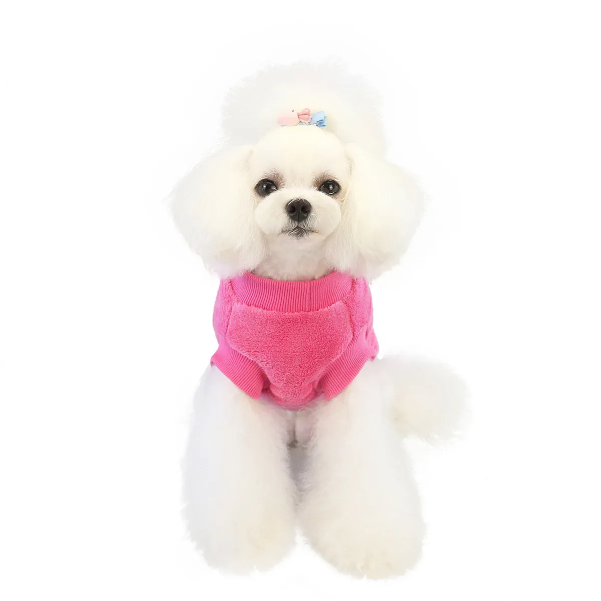 Small dog coral fleece home clothes pet clothes